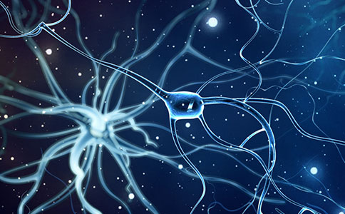 如何高效进行成年鼠脑单细胞悬液制备