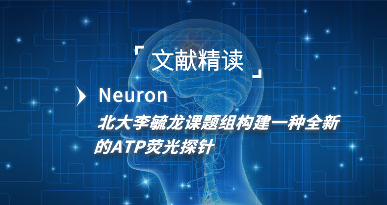 北大李毓龙课题组构建一种全新的ATP荧光探针