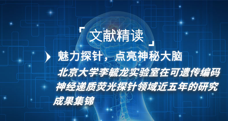 北京大学李毓龙实验室在可遗传编码神经递质荧光探针领域近五年的研究成果集锦