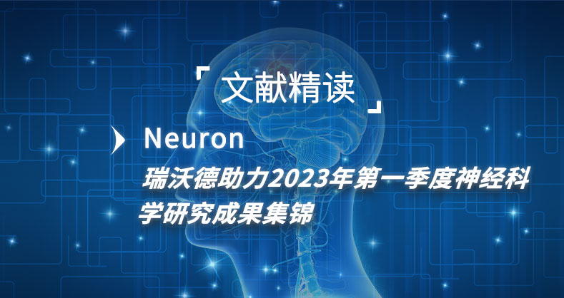 瑞沃德助力2023年第一季度神经科学研究成果集锦