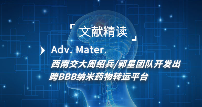 西南交大周绍兵/郭星团队开发出跨BBB纳米药物转运平台