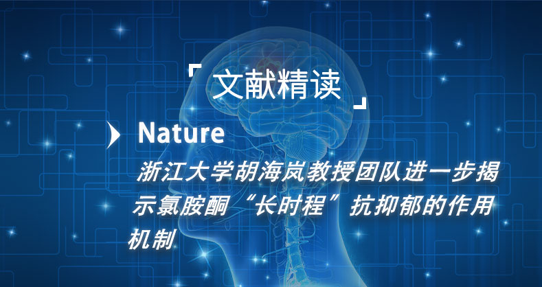 浙江大学胡海岚教授团队进一步揭示氯胺酮“长时程”抗抑郁的作用机制