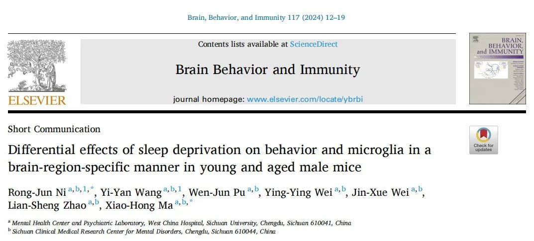 BBI | 马小红/倪荣军团队发现睡眠剥夺对年轻和老年小鼠的小胶质细胞和行为表型影响不一样
