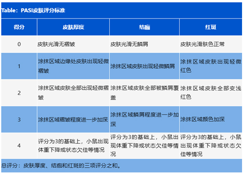 IMQ诱导小鼠银屑病模型