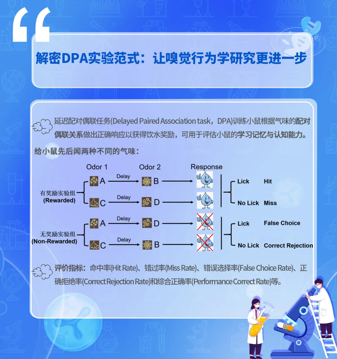 解密DPA实验范式，让嗅觉行为研究更进一步