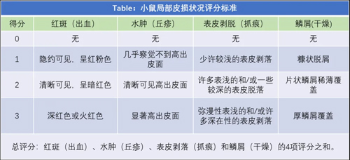 瑞沃德切片机在OXA诱导小鼠特异性皮炎模型中的应用