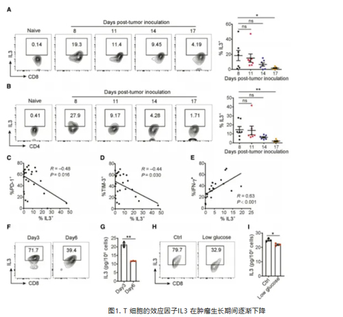 T 细胞的效应因子IL3 在肿瘤生长期间逐渐下降