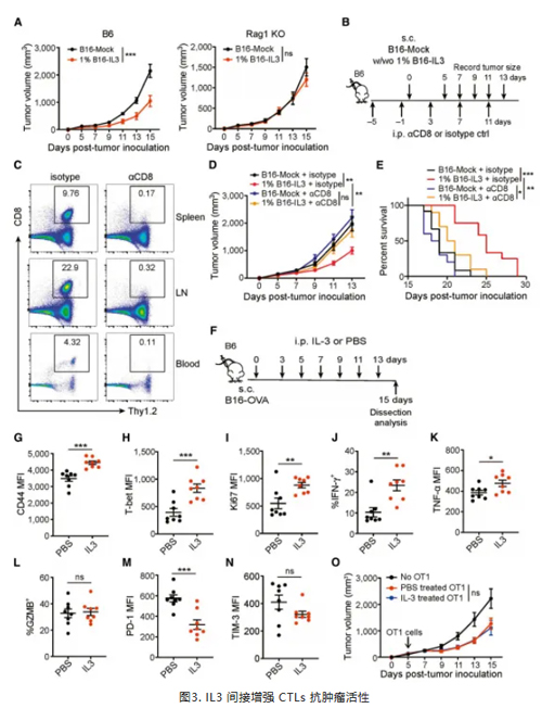 IL3 间接增强 CTLs 抗肿瘤活性