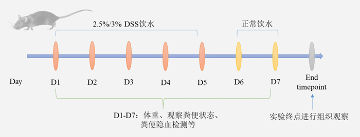 瑞沃德病理切片机在炎症性肠病（IBD）模型中的应用