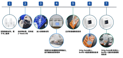 高效提取与分离细胞核