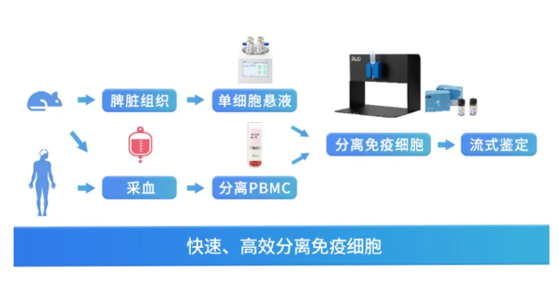 CAR-T细胞疗法新进展：提升有效性与安全性的策略